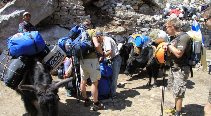 finish-mt-pumori-expedition