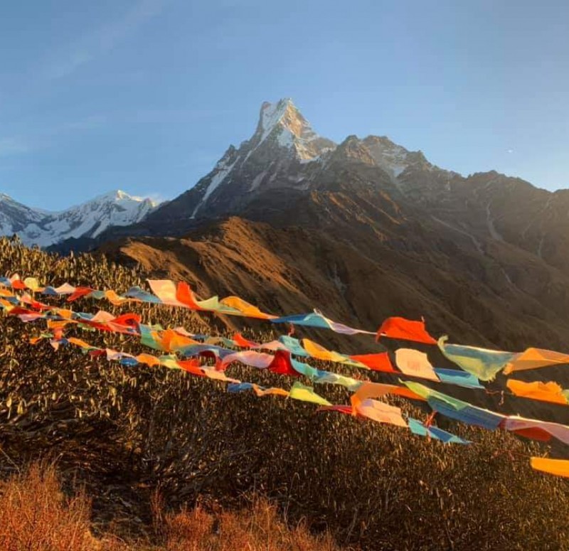 ghorepani-and-poon-hill-trek-1