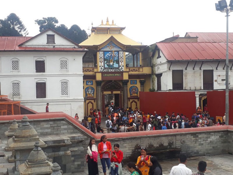 kathmandu-chitawan-jungle-safari-tour