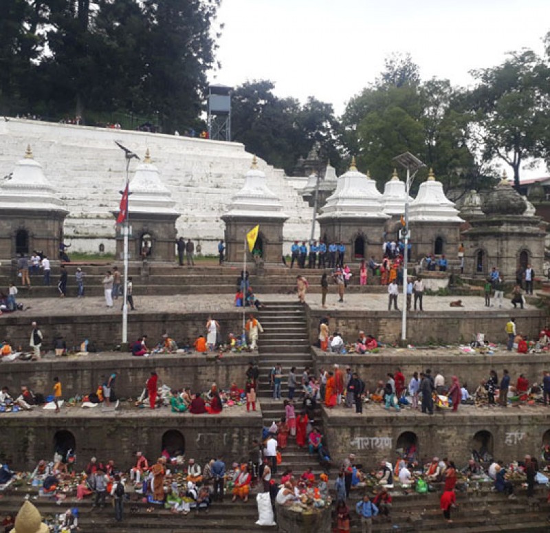 kathmandu-chitawan-jungle-safari-tour