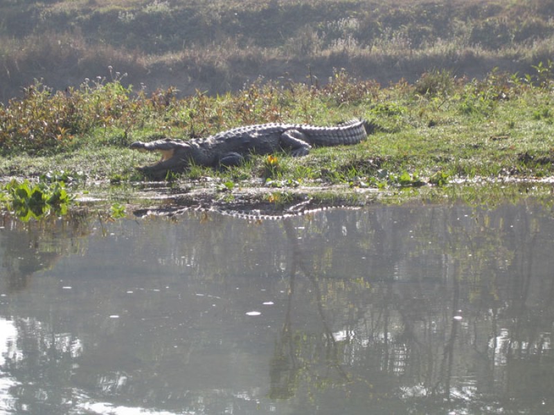 kathmandu-lumbini-chitawan-tour