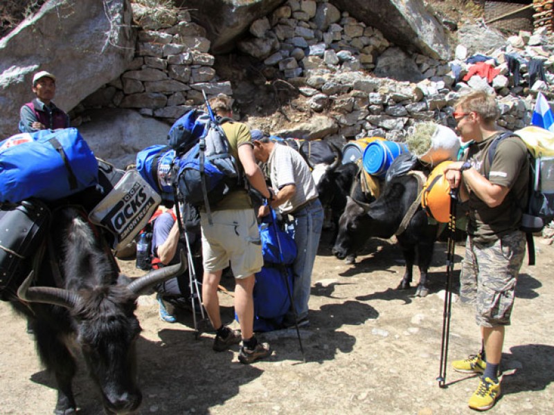 mt-pumori-7161-m-expedition-nepal