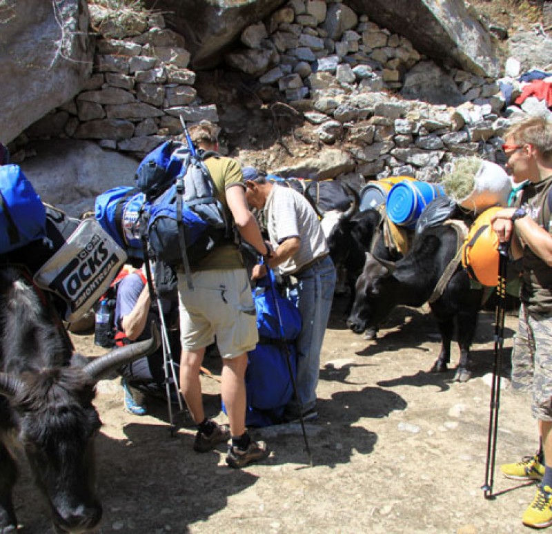 mt-pumori-7161-m-expedition-nepal